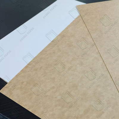เกรดอาหารเคลือบ Kraft Backboard CKB กันความชื้น 600x900mm 700x1000mm